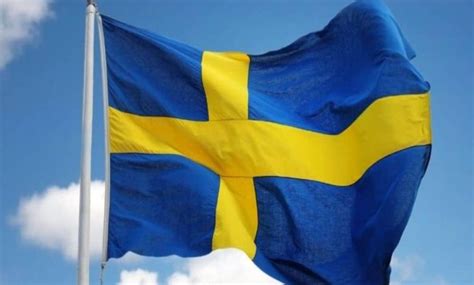 We Did Not Declare Sex As Sport Swedish Sport Federation Says
