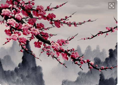 Watercolor Cherry Blossom Wallpapers Top Free Watercolor Cherry