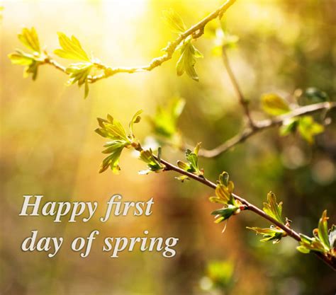Happy Spring Thrive Healthy Set Go Allina Health