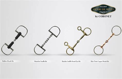 Types Of Bits For Your Horse Horse Bit Guide For Equestrians