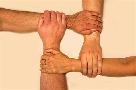 Peoples Hands Holding Each Other · Free Stock Photo