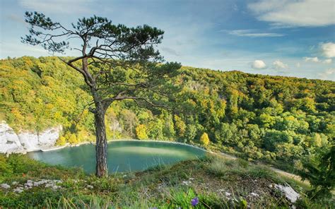 Wallpaper 1920x1200 Px Lake Landscape Nature Trees Water