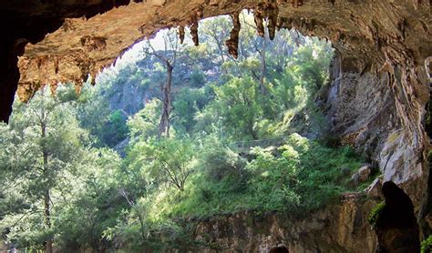 Abercrombie Caves Campground Learn More Nsw National Parks