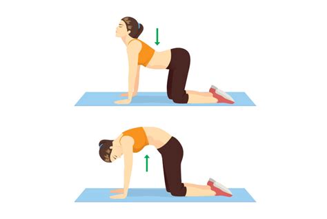 I do this when i wake up. exercise cat-cow pose - WomenWorking