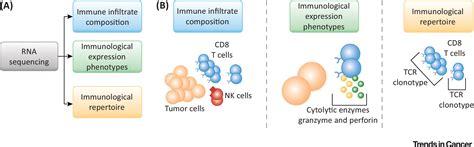 Rna Sequencing Of The Tumor Microenvironment In Precision Cancer