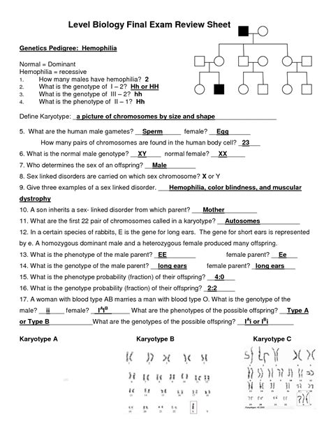 Karyotype Worksheet Answers Biology Worksheeto Com