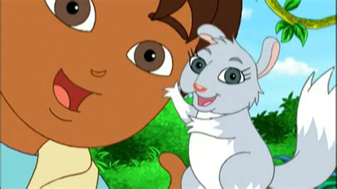 Diego's wolf pup rescue is the 1st episode of go, diego, go! Popular Go Diego Go Chinta The Baby Chinchilla Dailymotion Image - Desain Interior Exterior