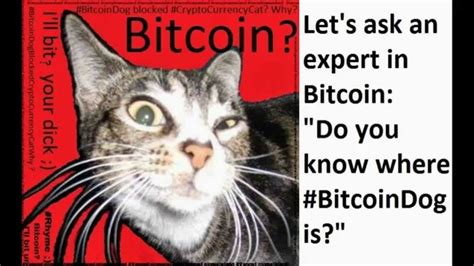 V011 Bitcoindog Humor Cryptocurrency Cat Naughty Furry Funny Money