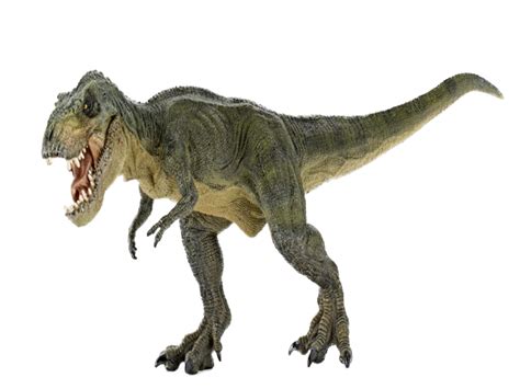 Rex (surname), for people with the surname. Download T Rex Images Download HD PNG HQ PNG Image | FreePNGImg