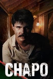 But how does the el chapo series link to narcos: El Chapo: Season 1 - Rotten Tomatoes