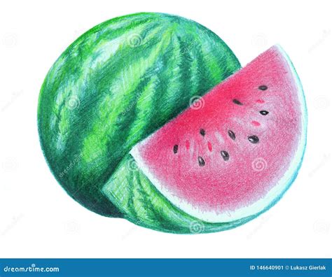 Watermelon Drawing Fruit Red Crayon Editorial Photo Image Of