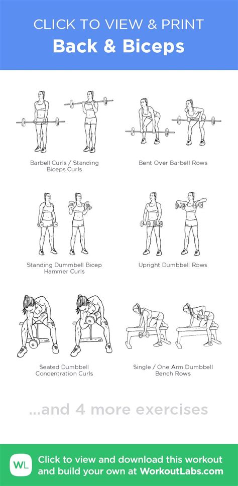 An Exercise Poster With Instructions For How To Use The Back And Biceps
