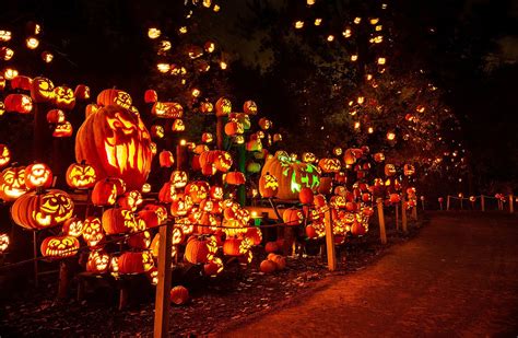 Minnesota Zoos Spooky Glowing Jack O Lantern Trail Is A Must See