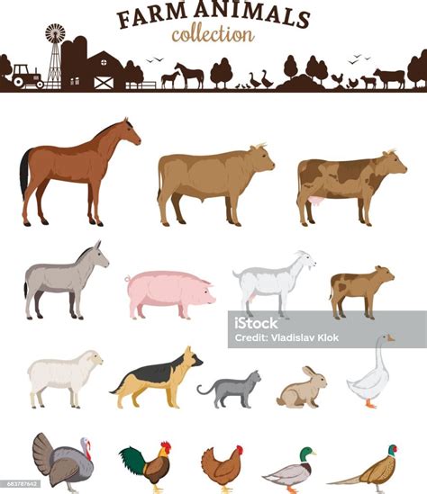 Vektor Bauernhof Tiere Cartoons Stock Vektor Art Und Mehr Bilder Von