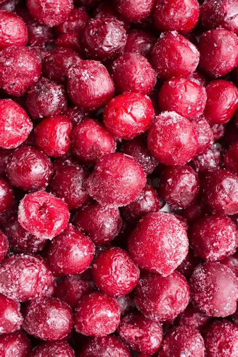 Frozen Cherry Close Up Stock Photo Image Of Cool Color 89054182