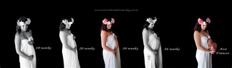 Pregnancy Timeline Pregnancy Timeline Pregnancy Photos 36 Weeks