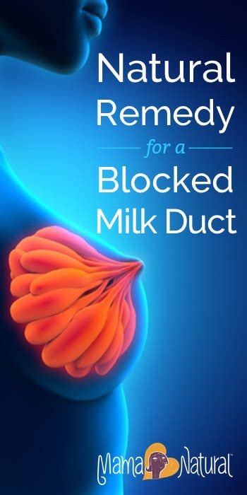 Natural Remedy For Blocked Or Clogged Milk Duct Mama Natural