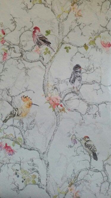 Bandq Swindon Bandq Wallpaper Bird Wallpaper Beautiful