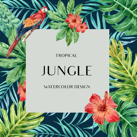 tropical frame border design summer with plants foliage exotic creative watercolor vector