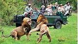 Images of Safari Park In South Africa