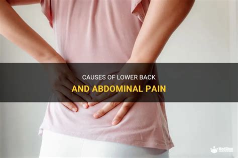 Causes Of Lower Back And Abdominal Pain MedShun