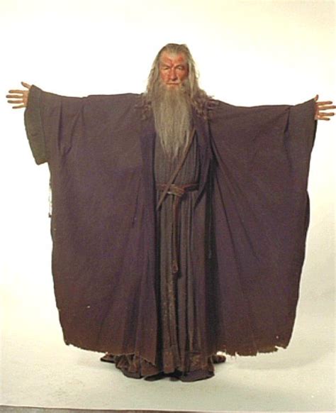 Wizard Robes Wizard Costume Movie Costumes Cool Costumes Halloween