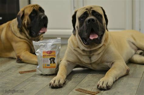 Raw paws frozen complete beef f rom our family to yours: Feeding The Way Nature Intended: A Review of Raw Paws Pet Food