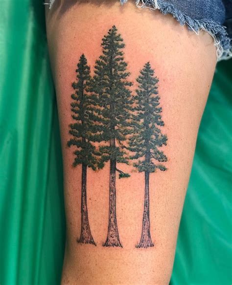 Pine Tree Tattoo Ponderosa Pine Tree Sleeve Tattoo Tree Tattoo Back