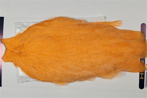 Ahc 6774 American Hen Cape White Dyed Shrimp Orange Jimsflyco