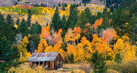 A Cornucopia Of Fall Colors In Lake Tahoe