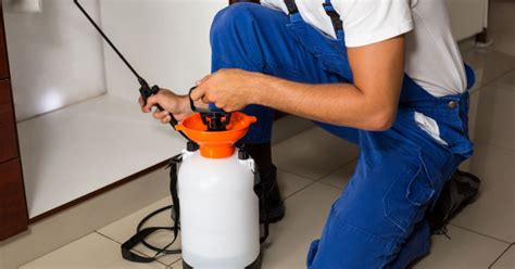 A professional pest control service exists with the sole purpose of getting rid of your pest infestation. Local SEO for Pest Control Services | Online Presence Manager