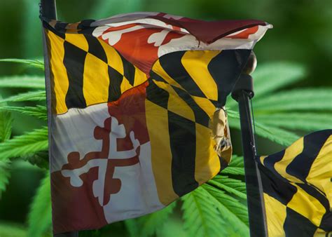 There are several key maryland medical marijuana laws every current and prospective patient must know. What We've Learned From Maryland's Growing Medical ...