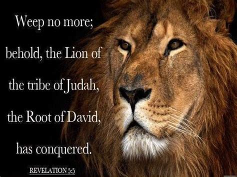 Pin By Lashawn On Bible Scriptures Tribe Of Judah Lion Pictures