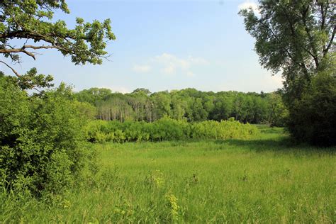 Forest Meadow And Clearing At Lapham Peak State Park Wisconsin Image
