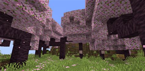 Minecraft Cherry Blossom Biome Apex Hosting