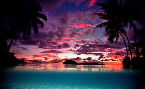 Landscape Nature Tahiti Sunset Palm Trees Island Beach Island Palm