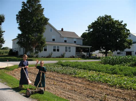 Amish Country Pennsilvania Amish Country Pa Amish Amish Farm