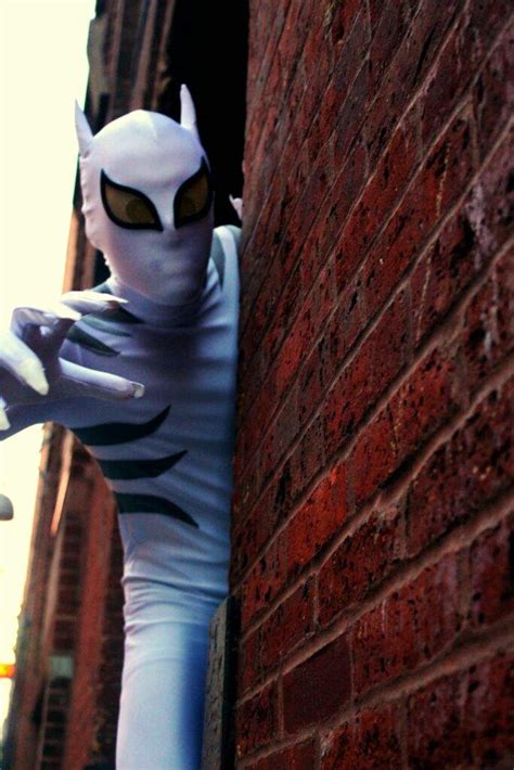 Marvel White Tiger Or Marvel White Tiger Ranger Cosplay Amino