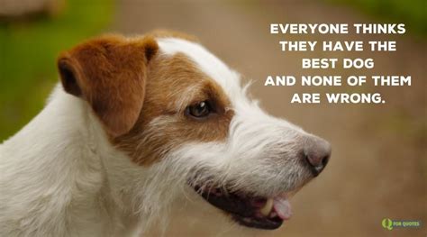 20 Dog Quotes For People Who Love Dogs