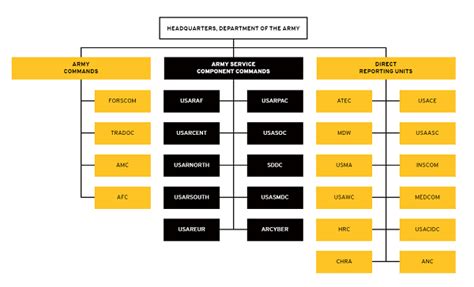Us Army Chain Of Command For 2022 Organization And Structure