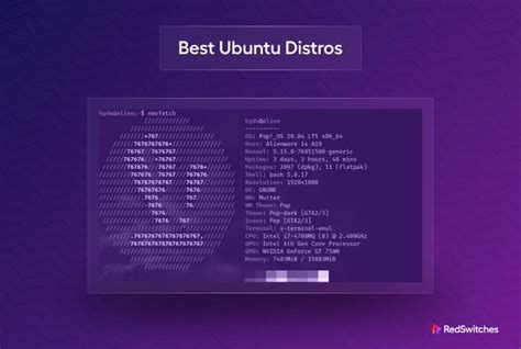 10 Best Ubuntu Distro Of 2024 Redswitches