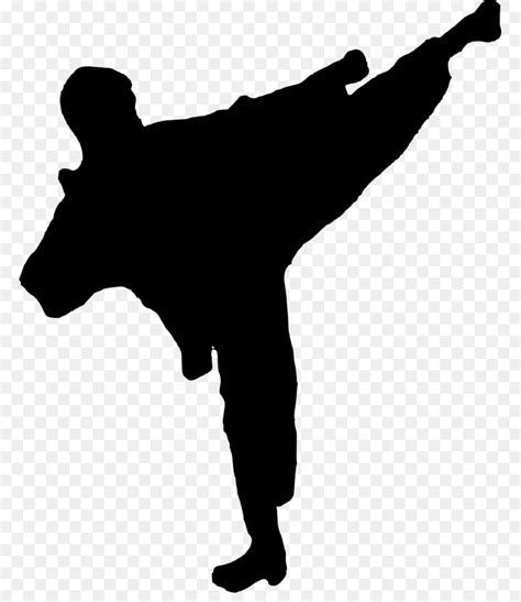 Silhouette Karate Kick Mixed Martial Arts Png Download 1389790