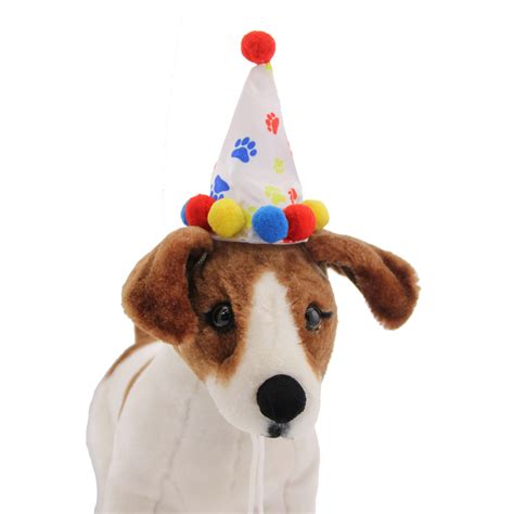 Paw Print Birthday Dog Hat With Same Day Shipping Baxterboo