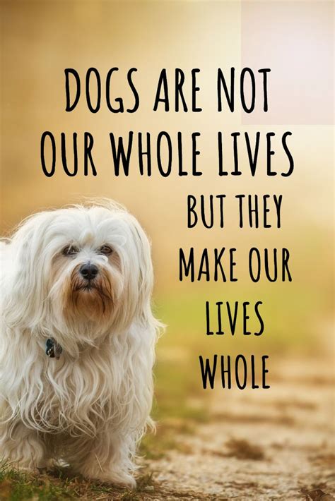 Dogs Are Not Our Whole Lives But They Make Our Lives Whole