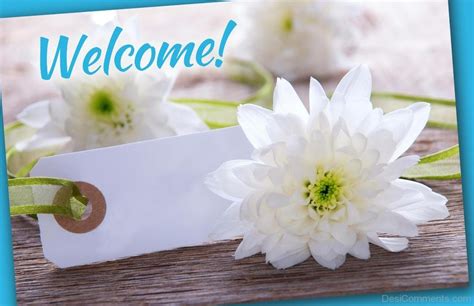 Welcome White Flowers Desi Comments
