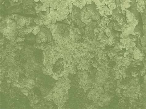 45 Sage Green Wallpapers Wallpapersafari