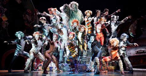 Previews began on 14 july 2016 at the neil simon theatre, and the show opened on 31 july. What the heck is Cats? We broke down the story, characters ...