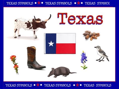 Texas Symbols For Kids Printables