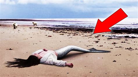 5 Mermaid Caught On Camera And Spotted In Real Life Youtube