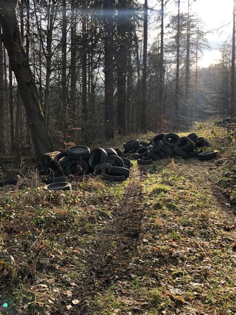 Hann Münden Reifen Im Wald Bei Laubach Illegal Entsorgt Zeugen Gesucht
